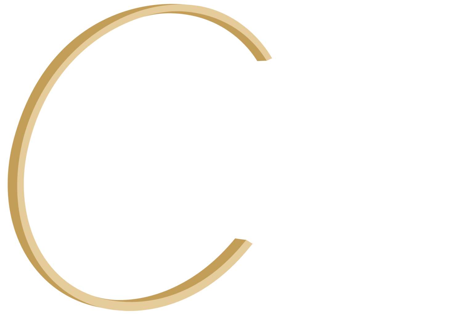 CEOcorp